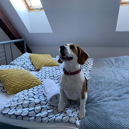Hostel Przed Switem Gorzow Wielkopolski Luaran gambar